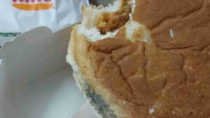 Customer Discovers Mold On Burger King Burger, Company Vows Quick Response