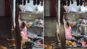 Fundraising Success For Cobbler In Bengaluru Who Shares Shop With Strays: Viral Video