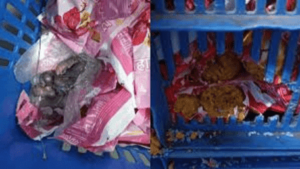 Siddhivinayak Trust Responds ‘Prasad Not From Our Temple..’ To Viral Video Showing Mice