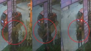 WATCH | BMW Flower Pot Heist In Noida: Woman’s Bold Theft Caught On CCTV