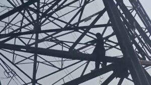 Man Scales Delhi Electricity Pole, Demands Meeting With PM And CM Over Environmental Concerns