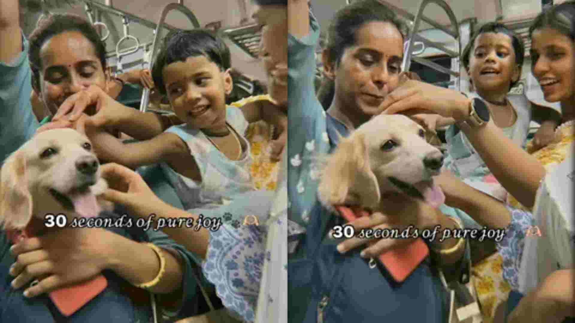 Watch: This Golden Retriever Is Spreading Joy In Mumbai Local