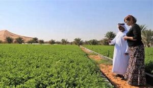 UAE Honors Women In Agriculture At Farmer Field Schools Graduation