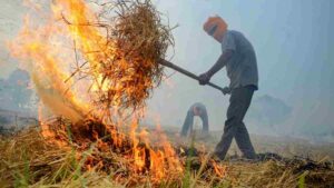 Crackdown on Stubble Burning in Punjab Shows Impact