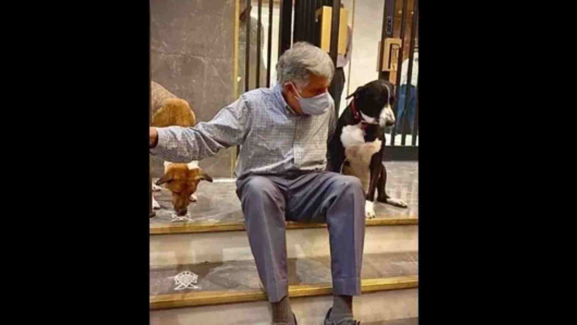 Ratan Tata was animal lover