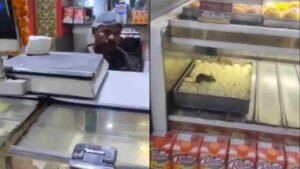 Rats Devour Sweets, Scurry Over Laddoos in Delhi Shop; Video Goes Viral