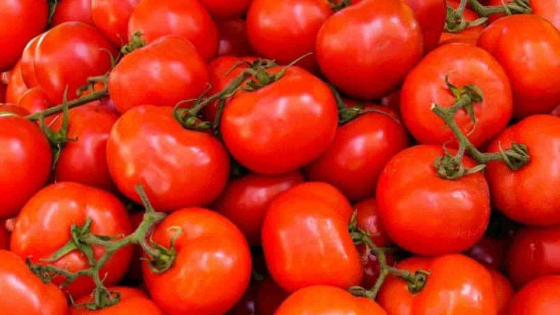 Swiggy delivers free tomatoes