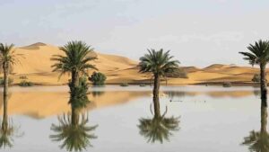 Unprecedented Flooding Hits Sahara Desert After Torrential Rainfall