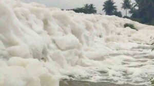 Watch: Toxic Foam Forms on Bengaluru Roads Following Heavy Rain