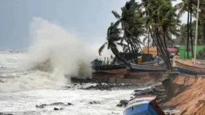 Cyclone Dana Hits Odisha: Trees Uprooted and Roads Blocked | WATCH