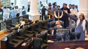 Watch: Chaos In Khyber-Pakhtunkhwa Assembly, Pakistan As Lawmakers Clash In Brawl