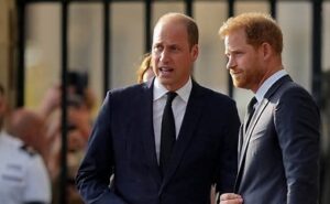 Prince William’s Nod To Harry Not A Peace Gesture, Expert Claims