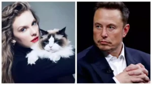 Musk Criticizes Hollywood Stars Supporting Harris, Calls Them ‘Puppets’