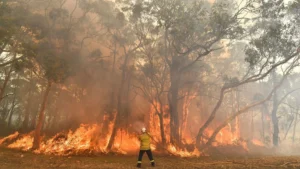 Australia Faces Chaos: Bushfires, Flash Floods, And Wild Winds Strike East