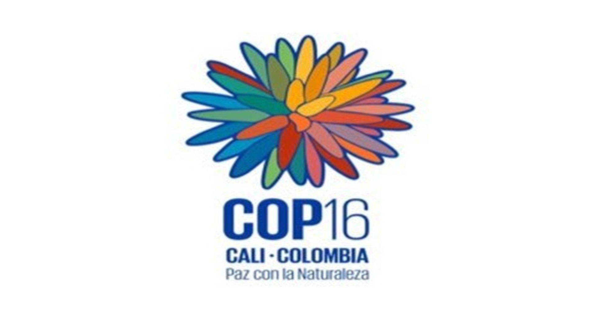 COP16