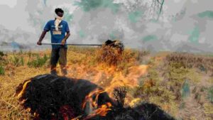 Centre Doubles Stubble Burning Fines: Farmers Now Face Rs 30,000 Penalty