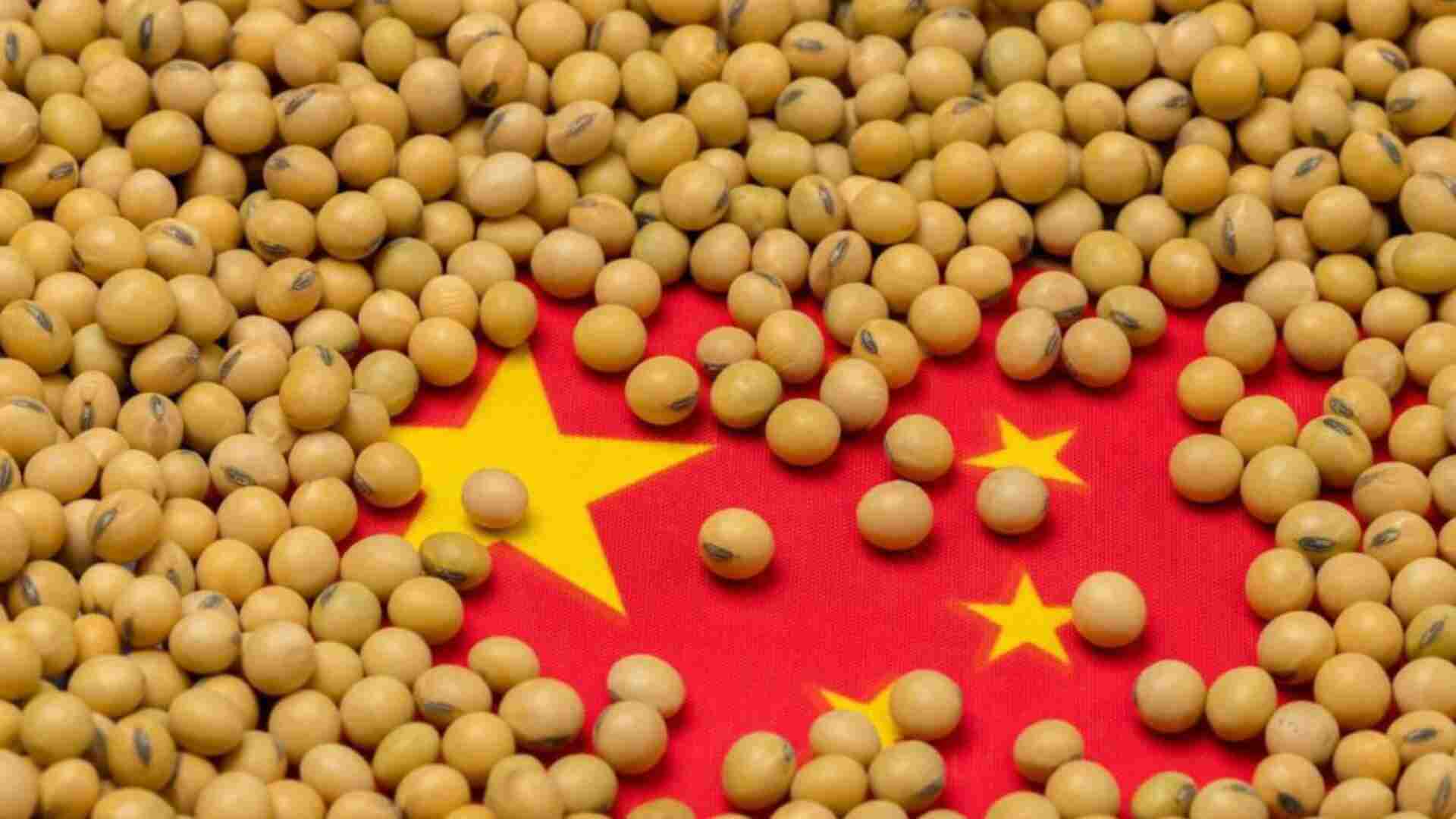 China’s Soybean Imports From US Grow For Seventh Month