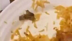 Butts Flavour Biryani: Cigarette Found In Chicken Biryani At Hyderabad Restaurant, Shocking Video Goes Viral | Watch