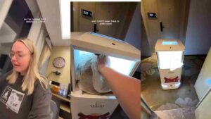 Travel Vlogger Shares How Food Was Delivered By Robot At Hotel In China | WATCH