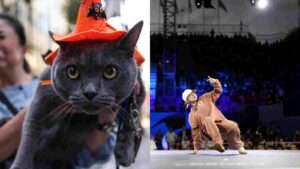 Japan’s 2024 Buzzwords Nominations: Breaking, Cat meme, Slush Fund Scandal