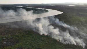 Rising Methane Emissions From Tropical Wetlands Pose Threat To Climate Goals