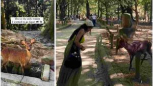 Japan’s Nara Deer Bows to Indian Tourist: ‘More Civilised Than Humans’ | WATCH