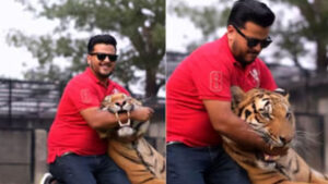 Pakistani Man’s Video Putting Hand in Tiger’s Mouth Sparks Outrage Online | WATCH