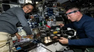 VIDEO| NASA Astronauts Sunita Williams, Butch Wilmore Vote from Space