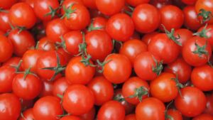 Tomato Prices See Over 22% Decline In Just One Month: Centre