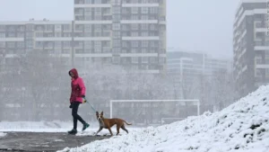 Russian Strikes Left 10 Million Without Power In Ukraine As It Faces Brutal Winter Crisis