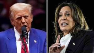 Trump Leads With 204 Electoral Votes, Outpacing Harris in Key Swing States