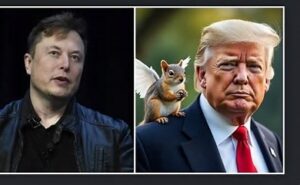 Elon Musk Furious Over ‘Peanut the Squirrel’s’ Death, Promises Action