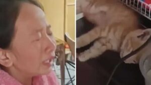 Child Breaks Down in Tears Trying to Save Freezing Cat Using Hair Dryer | WATCH