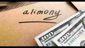 In light of Bengaluru techie case, SC changes factors to decide alimony amount