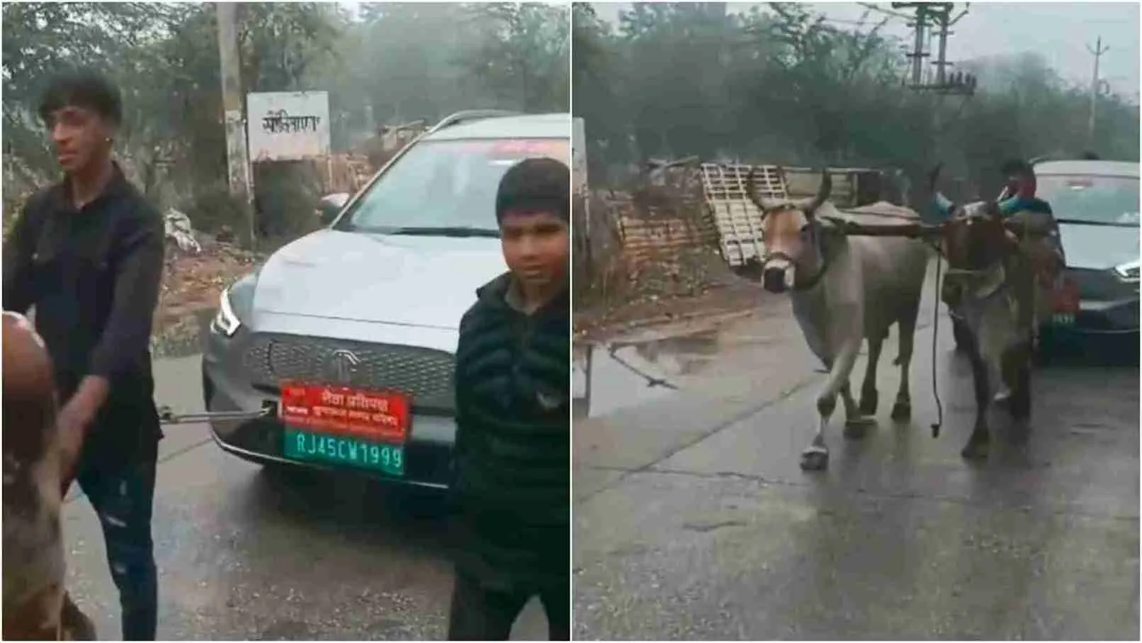 Frustrated Rajasthan Leader Gets Oxen To Tow His Electric Car! | WATCH