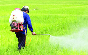 Proposed Data Protection panel on Agrochemicals should be dissolved