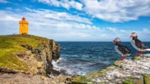 The Arctic Island Of Resilience: 20 People, 1 Million Birds, One Ecosystem