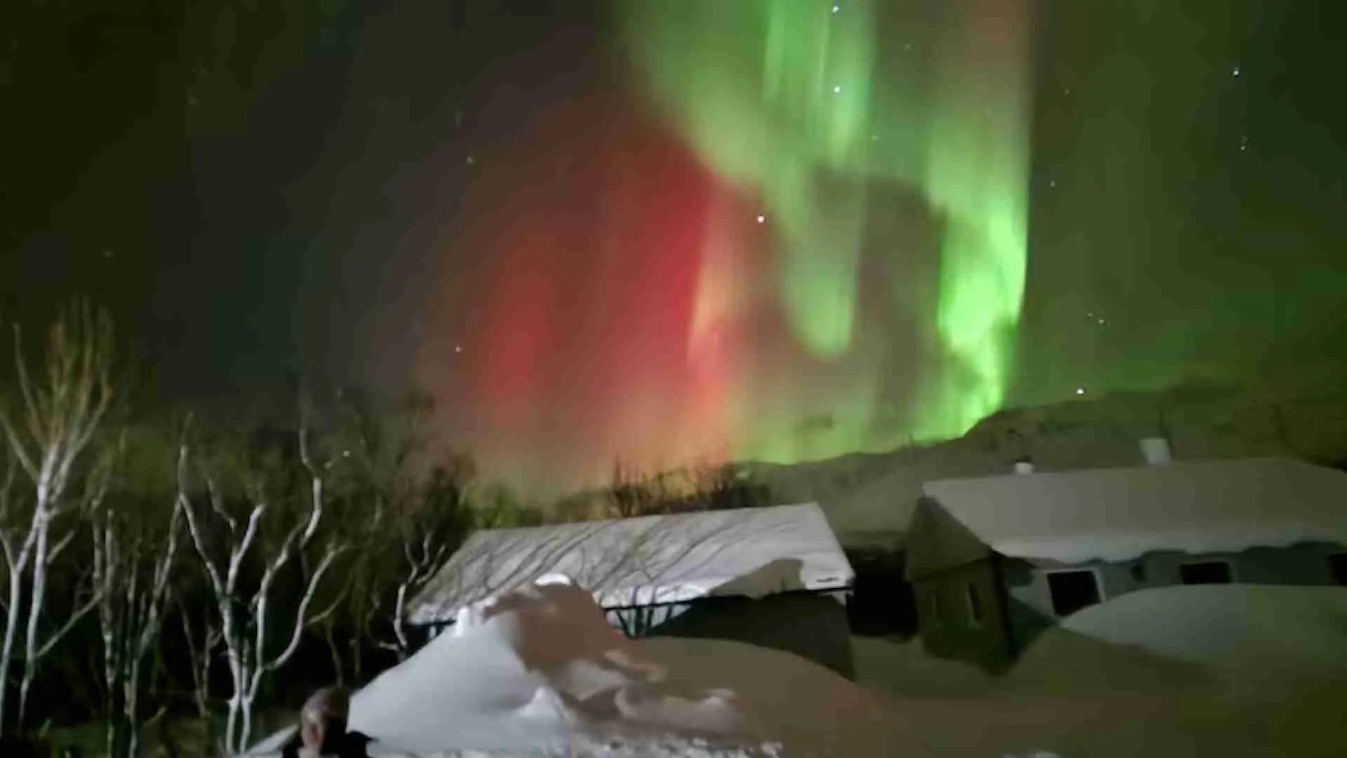 Aurora Australis Dazzles Australia: Skies Illuminate With Green And Purple Splendor | WATCH