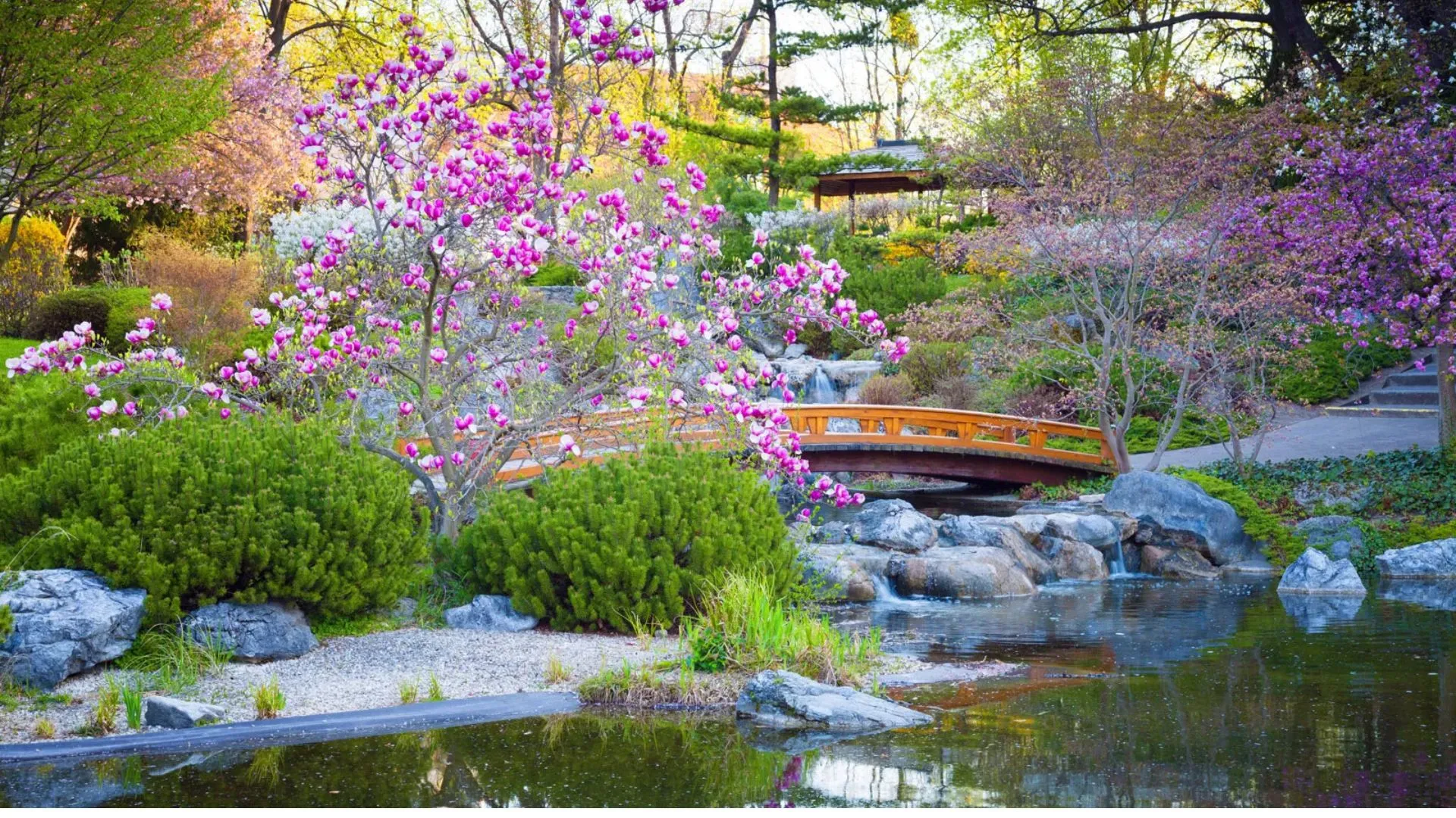 Tracking Time: Dhyāna in Zen Gardens