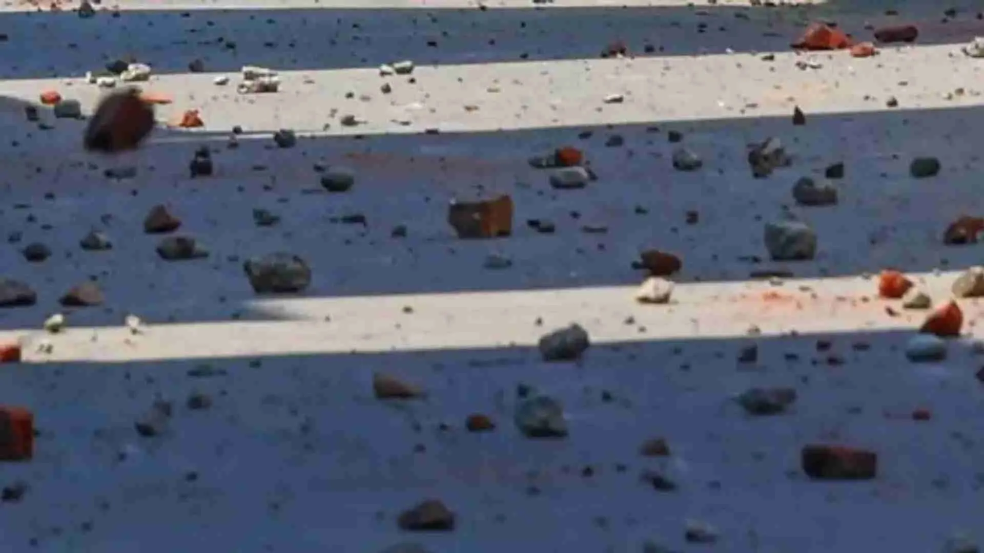 Stones Pelted, Clashes Erupt At India’s Champions Trophy Victory Rally In Madhya Pradesh | WATCH