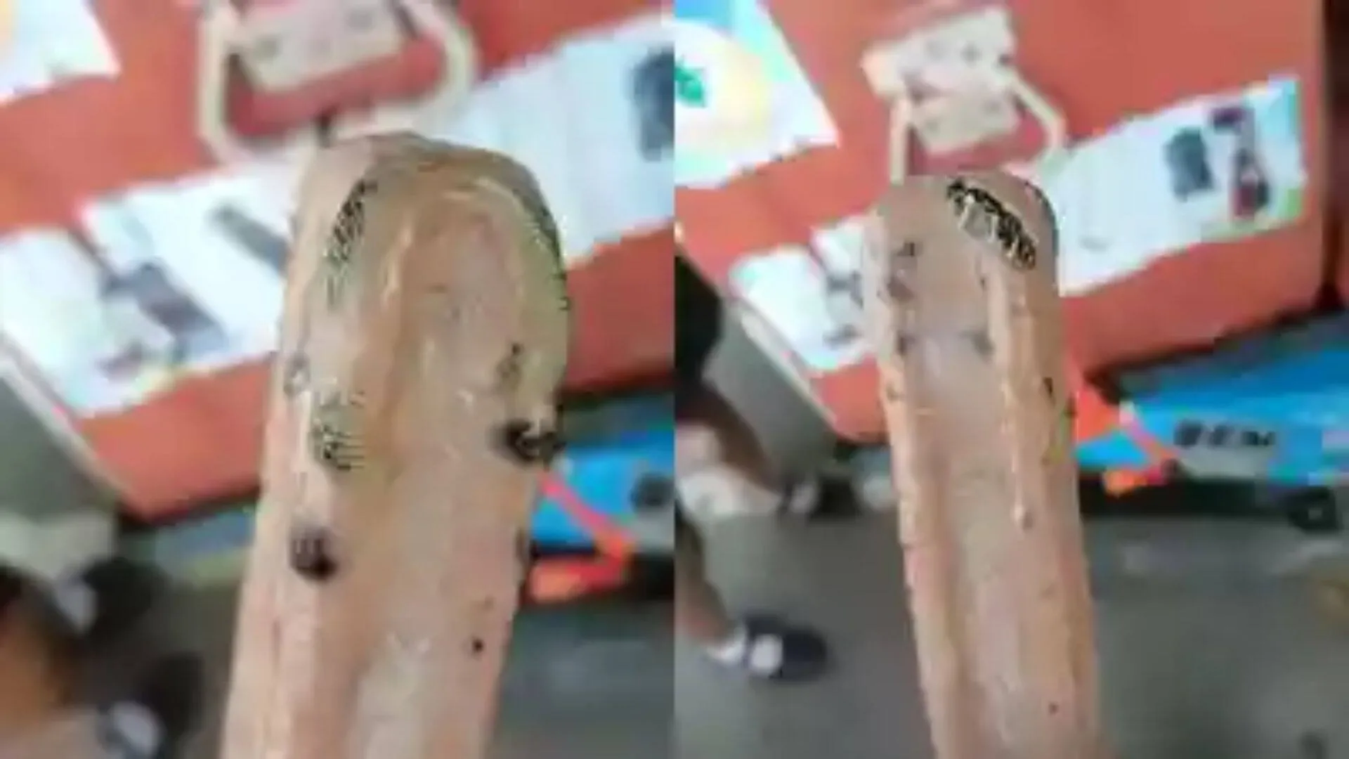 Customer Finds Frozen Snake in Ice Cream Bar