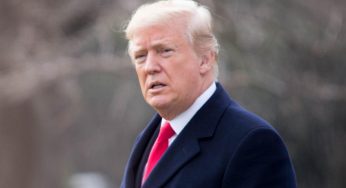 Trump Secures Landmark Deal with Japan, Includes Tariff and Market Access