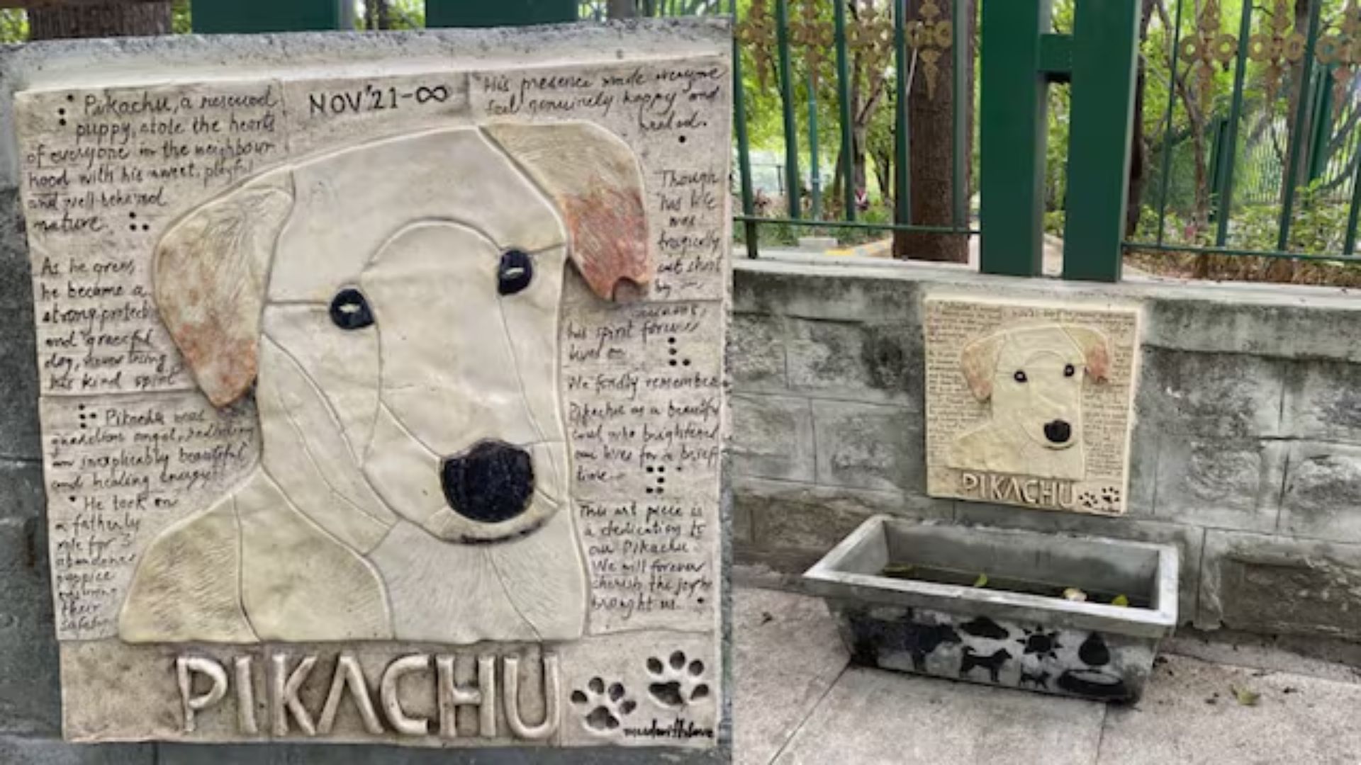 Bengaluru Residents Paint Heartwarming Mural for Stray Dog, Internet Moved to Tears