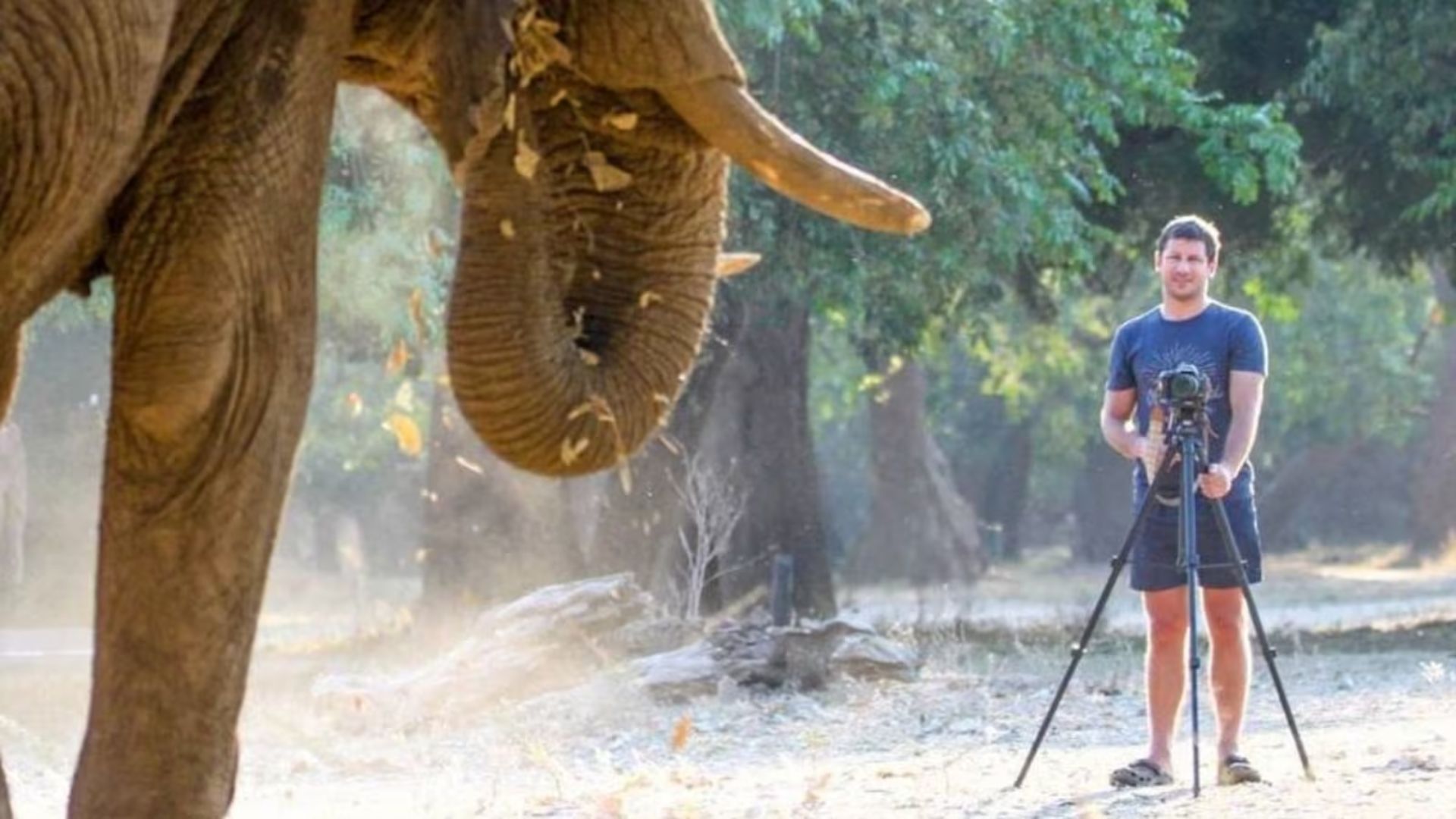 Elephant Kills Multi-Millionaire CEO at South Africa’s Gondwana Reserve