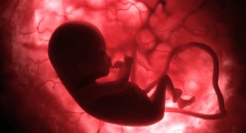 Nurturing joy from the womb