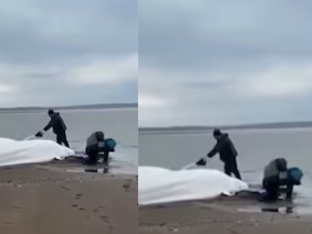 Unusual Event: Odd Signs Right Before Russia’s 8.8 Quake