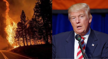 Trump Slams California Wildfire Aid, Demands Answers on Missing $100 Million
