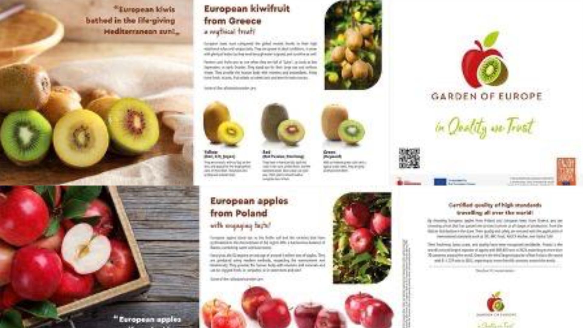 Apples Make a Big Impact in India as Garden of Europe Campaign Continues