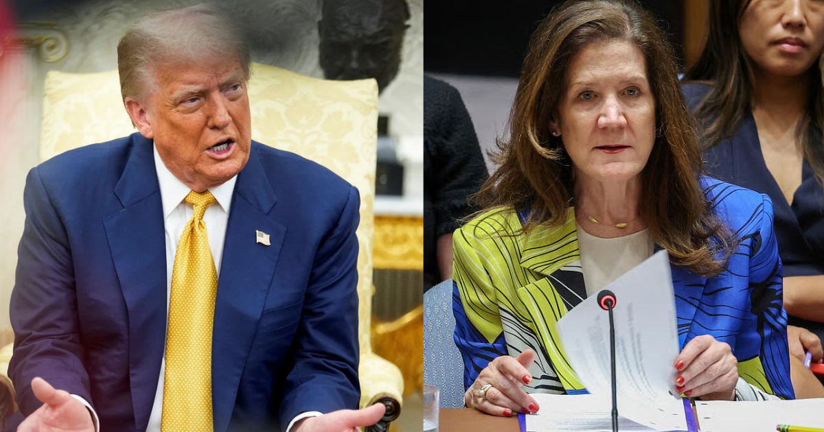 Trump Administration Stopped India-Pakistan Escalation, Says US Diplomat at UN