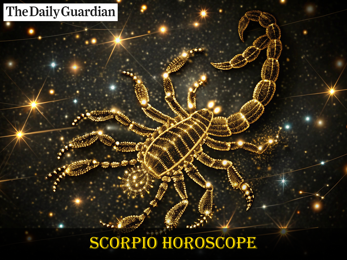 Daily Horoscope 13 August 2025: Zodiac Predictions for Love, Career & Life - Gallery Image